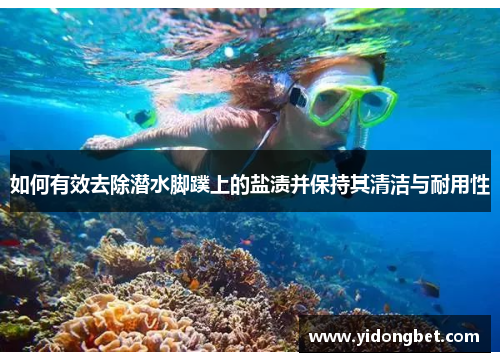 如何有效去除潜水脚蹼上的盐渍并保持其清洁与耐用性