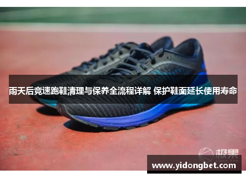 雨天后竞速跑鞋清理与保养全流程详解 保护鞋面延长使用寿命