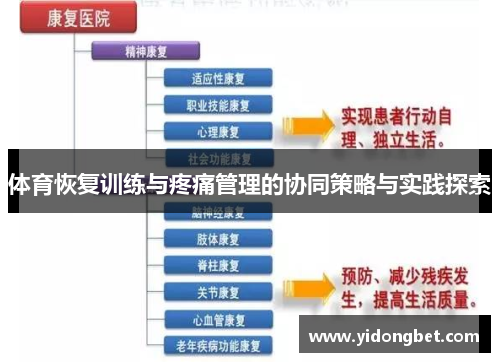 体育恢复训练与疼痛管理的协同策略与实践探索