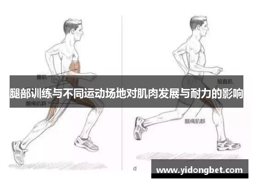 腿部训练与不同运动场地对肌肉发展与耐力的影响